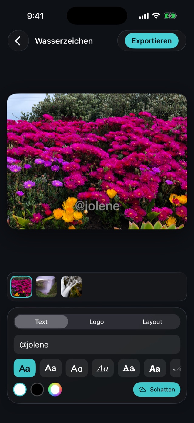 Der Vesilo-Editor mit einem Wasserzeichen auf einem Blumenfoto