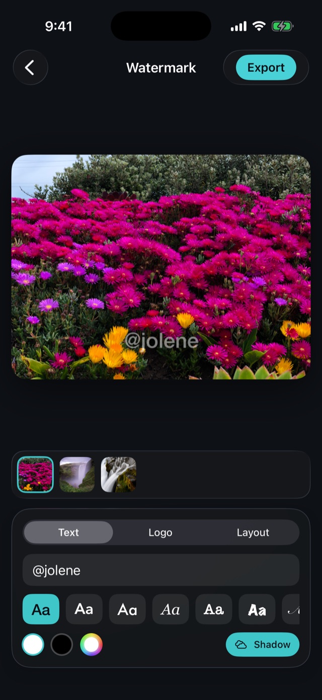 The Vesilo editor with a watermark on a flower photo