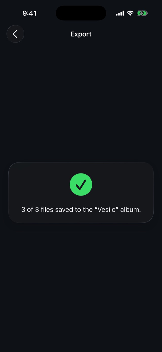 The export screen confirming all files saved to the Vesilo album