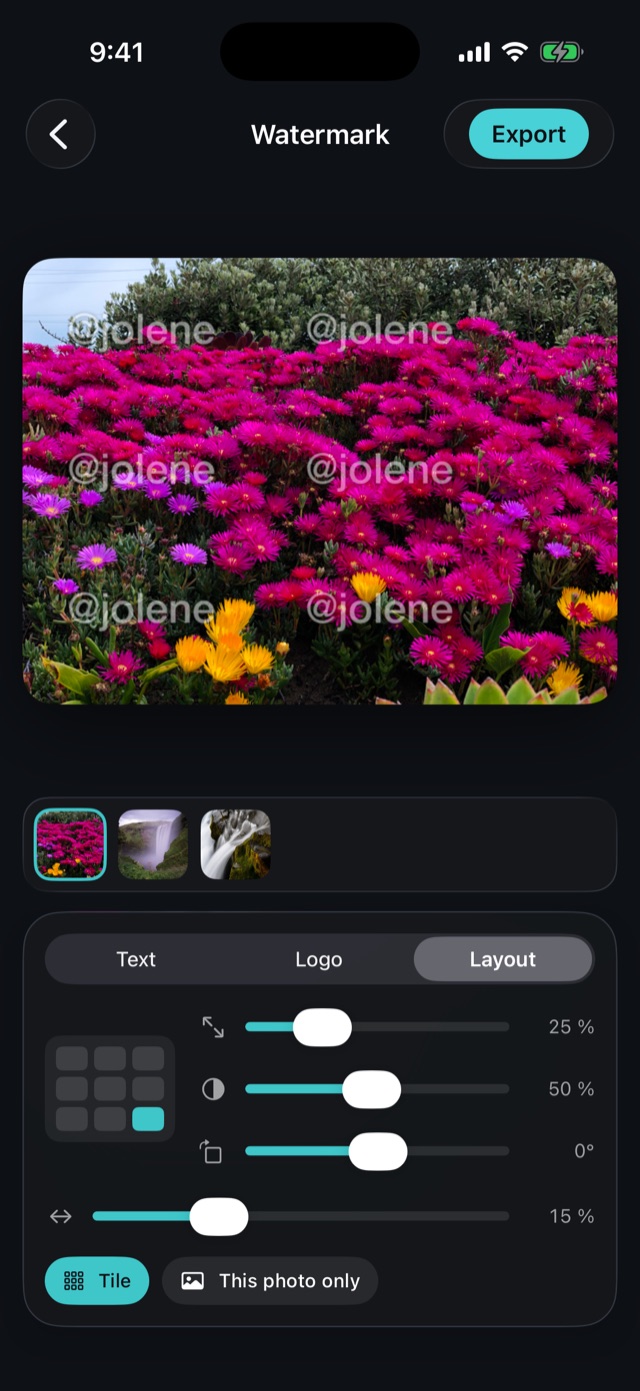 Tile mode repeating the watermark across the whole photo